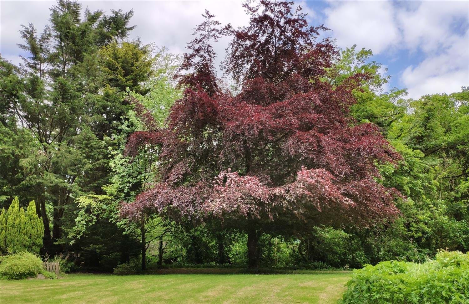 The front garden of The Annex Roundaway Lodge