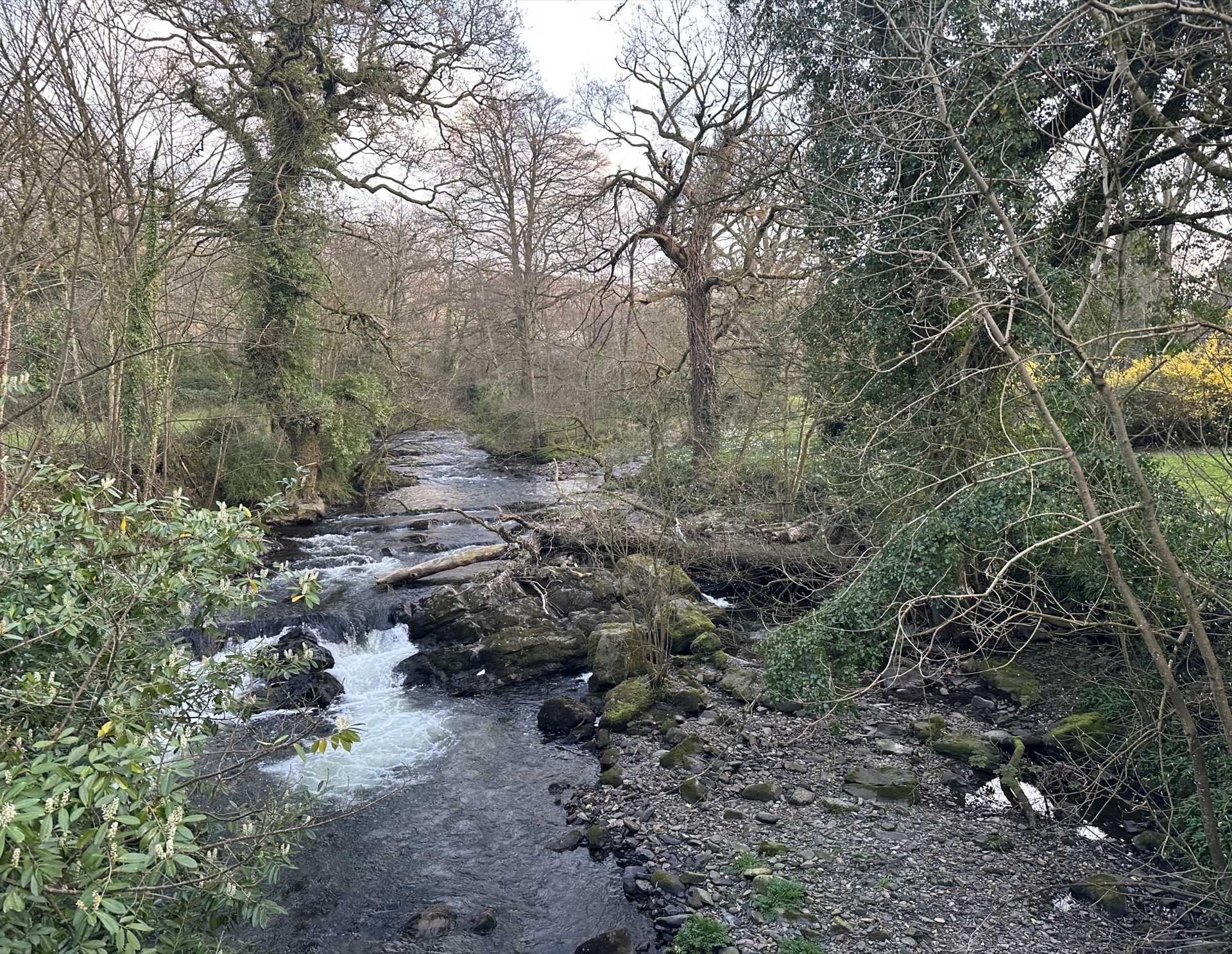 The river at The Annex Roundaway Lodge